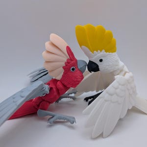 May include: Two colorful cockatoo figurines. One is red with gray wings and a peach-colored crest. The other is white with a yellow crest and black beak. Both have detailed wings and are posed as if interacting.