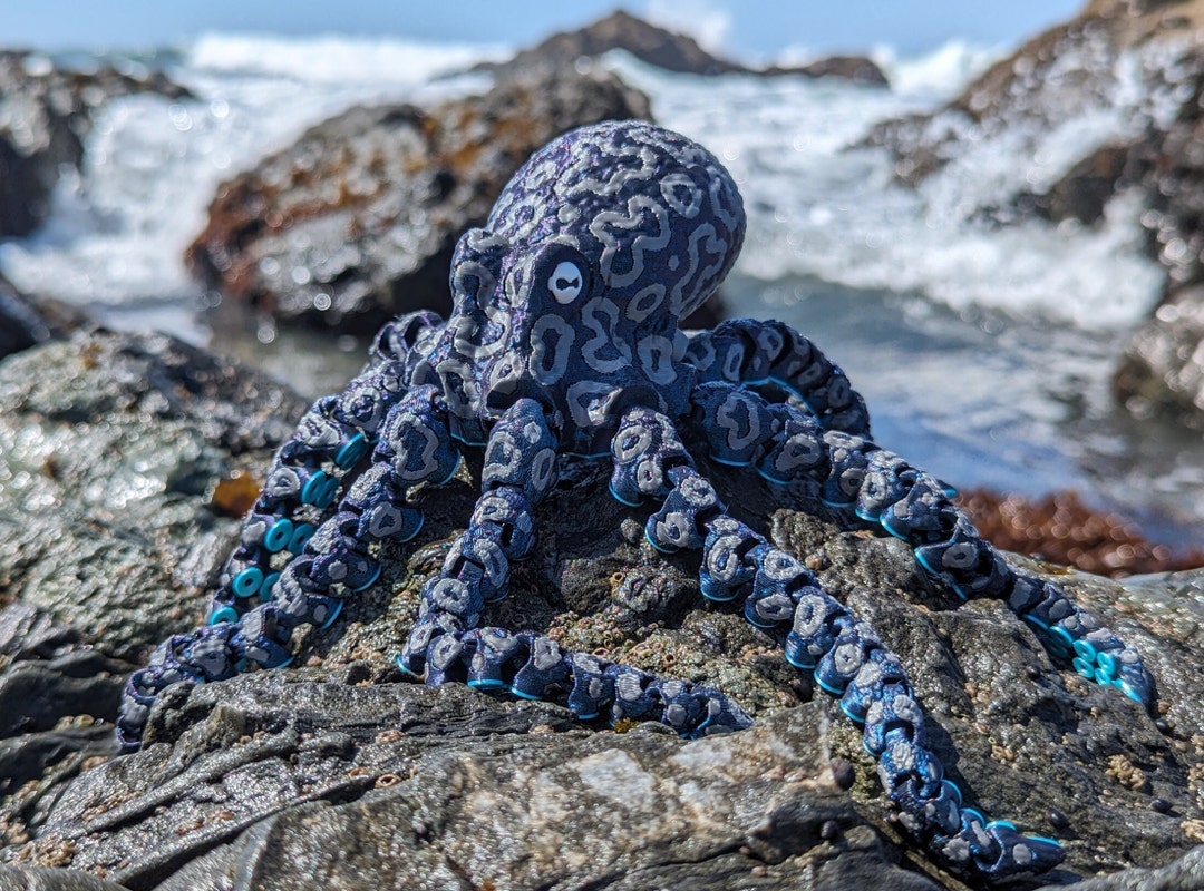 3D Printed Spotted Octopus - Multicolor Articulated Fidget