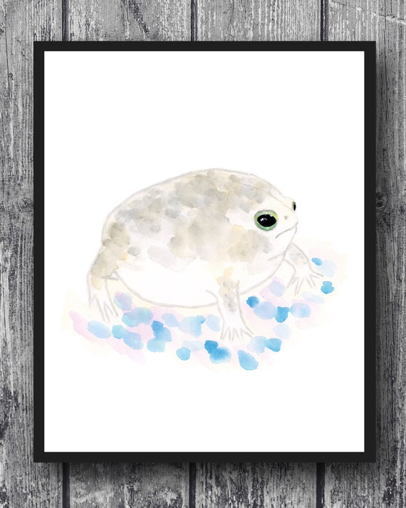 Desert Rain Frog, Frog Painting, African Rain Frog, Watercolor Painting, Art Print