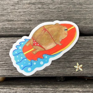 Surfing rain frog sticker, desert rain frog, weatherproof stickers