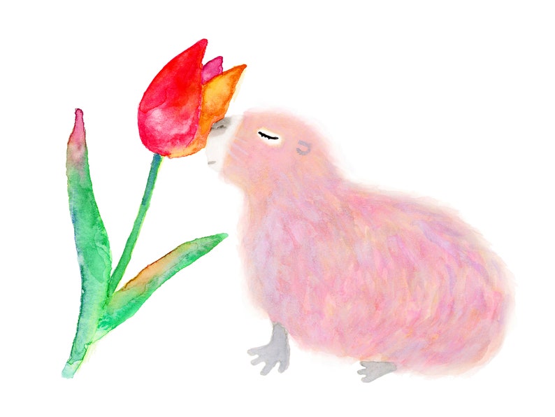 May include: A pink bird with closed eyes is smelling a red and yellow tulip.