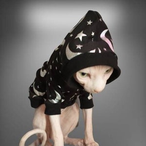Wizard Hoodie Sphynx Shirt
