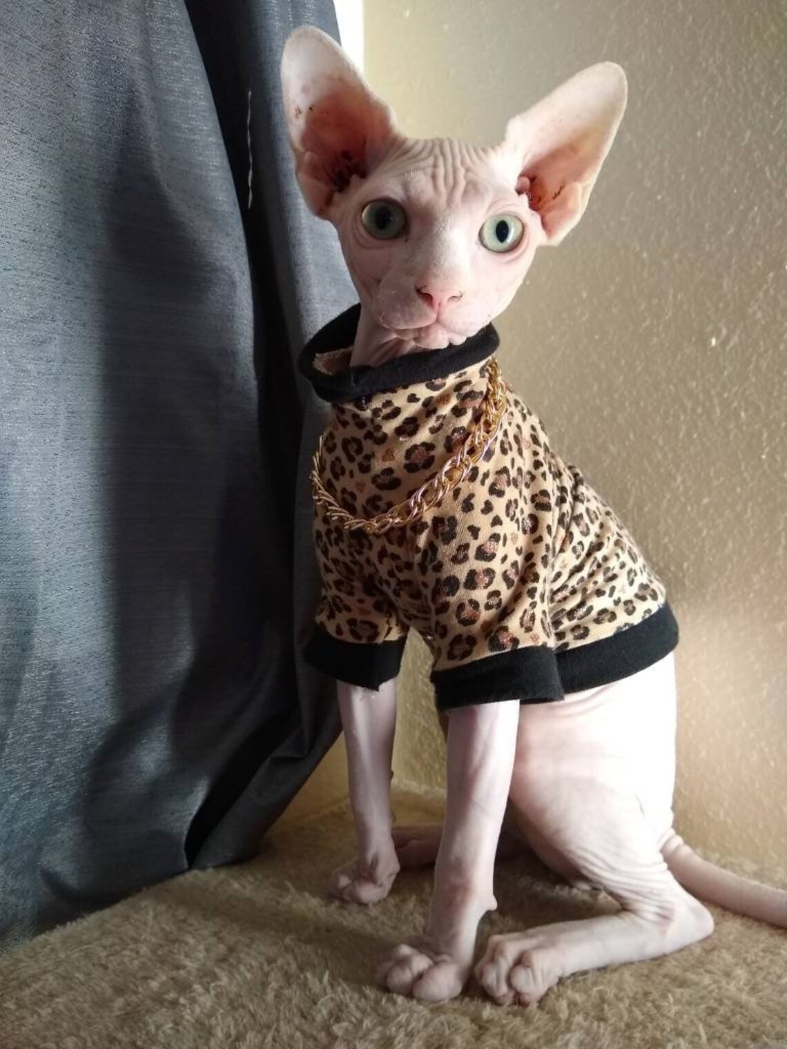 Sphynx Gold Chain Necklaces Fake Gold Chain for Your Cat or Etsy