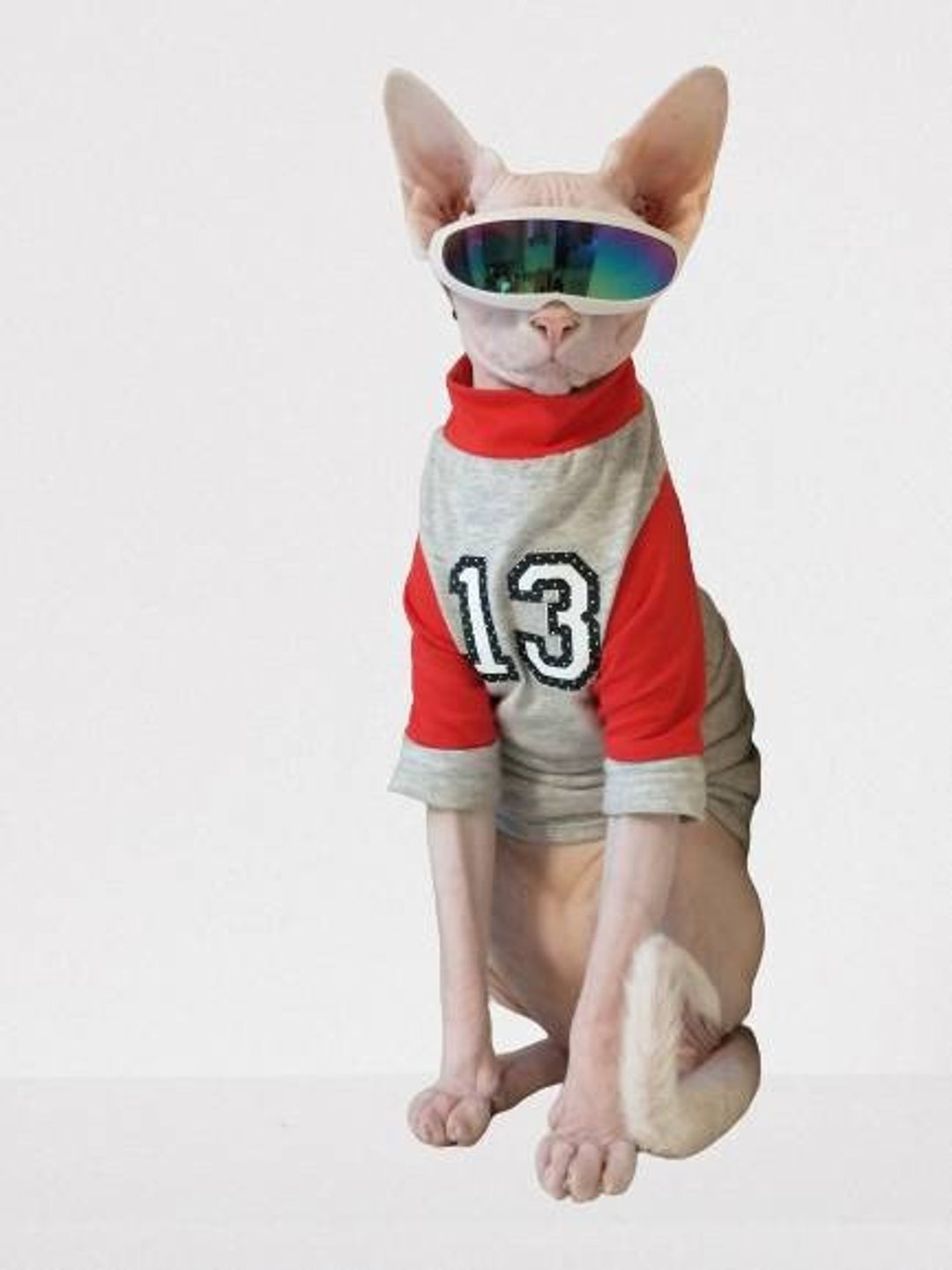Personalized Sphynx Jerseys Baseball Style Jersey pets Etsy