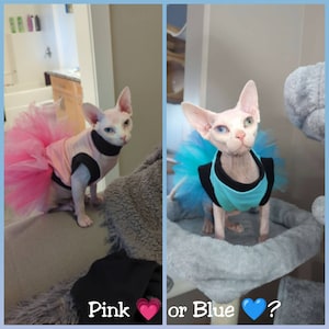 Pink or Blue Sphynx Tutu