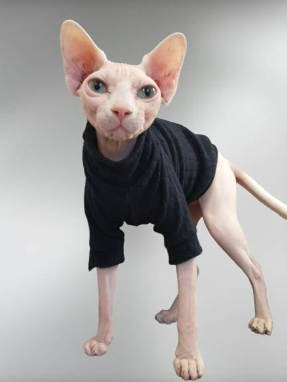 devon rex sweater