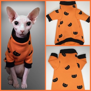Black Cats Sphynx Sweatshirt