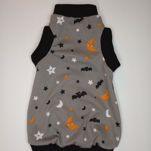 Gray Halloween Sphynx Shirt