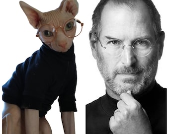 The "Steve Jobs" Black Sphynx Turtleneck