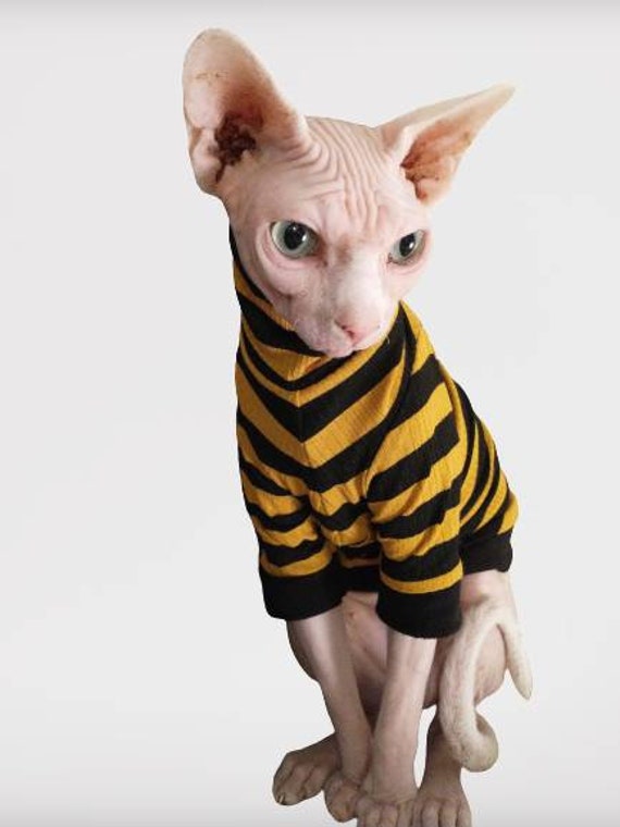 Sphynx cat turtleneck discount