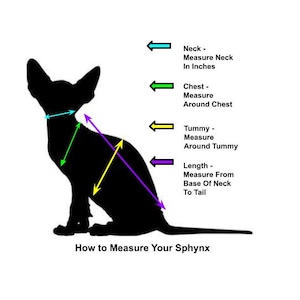 May include: Diagram showing how to measure a Sphynx cat for clothing. The diagram shows a black silhouette of a cat with arrows indicating where to measure the neck, chest, tummy, and length in inches.