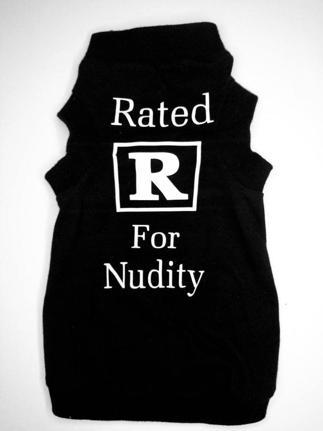 Grey Shirt Rated R Rated R for Nudity Sphynx Shirtv - Etsy