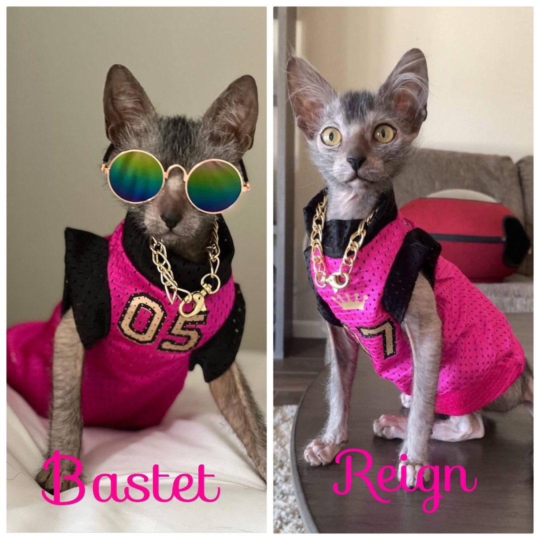 Personalized Sphynx Jerseys Etsy