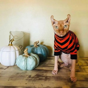 Halloween Stripes Sphynx Shirt