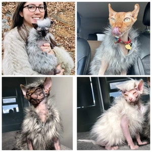Faux Fur Sphynx Vest