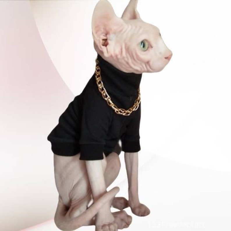 Sphynx Gold, Silver Chain Necklaces, Fake Gold and Silver Chain for Your Cat or Small Dog, For Photos Only not for wear as a Collar 