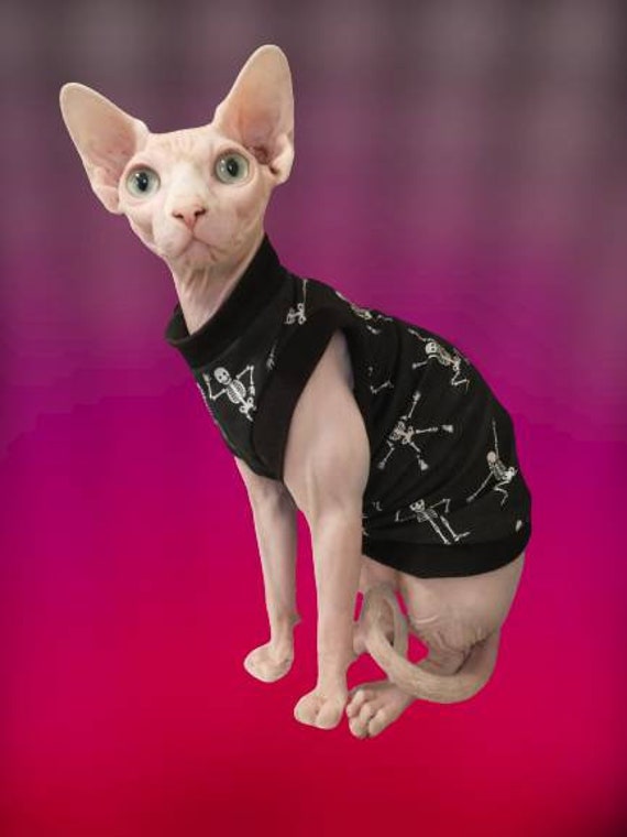 Dancing Skeletons Shirt for Sphynx Cats Halloween Sphynx Cat | Etsy