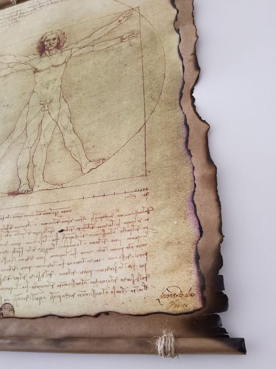 Vitruvian Man Handmade Scrolls by Leonardo Da Vinci. Wall Home - Etsy