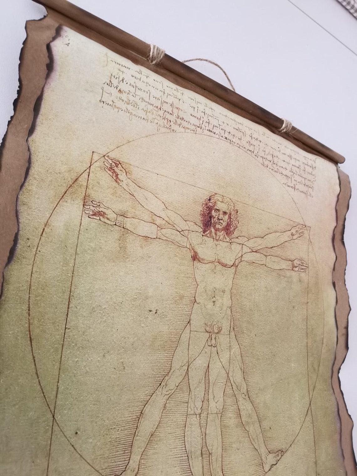 Vitruvian Man Handmade Scrolls by Leonardo Da Vinci. Wall Home - Etsy