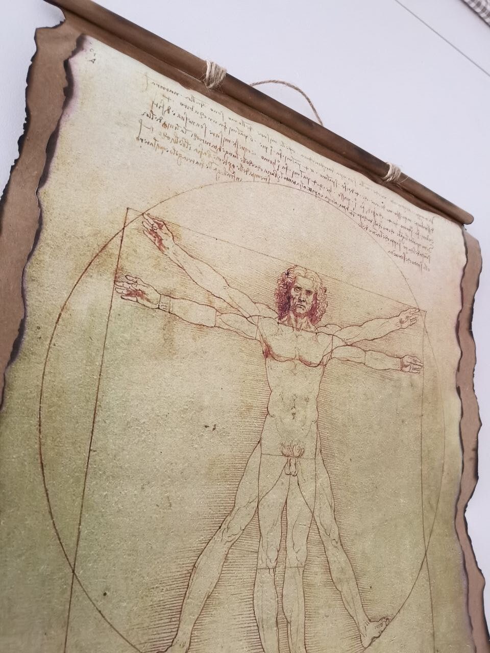 Vitruvian Man Handmade Scrolls by Leonardo Da Vinci. Wall Home - Etsy