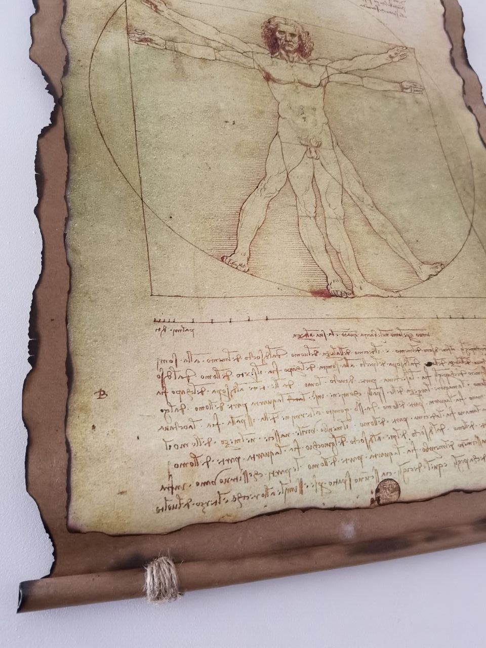 Vitruvian Man Handmade Scrolls by Leonardo Da Vinci. Wall Home - Etsy