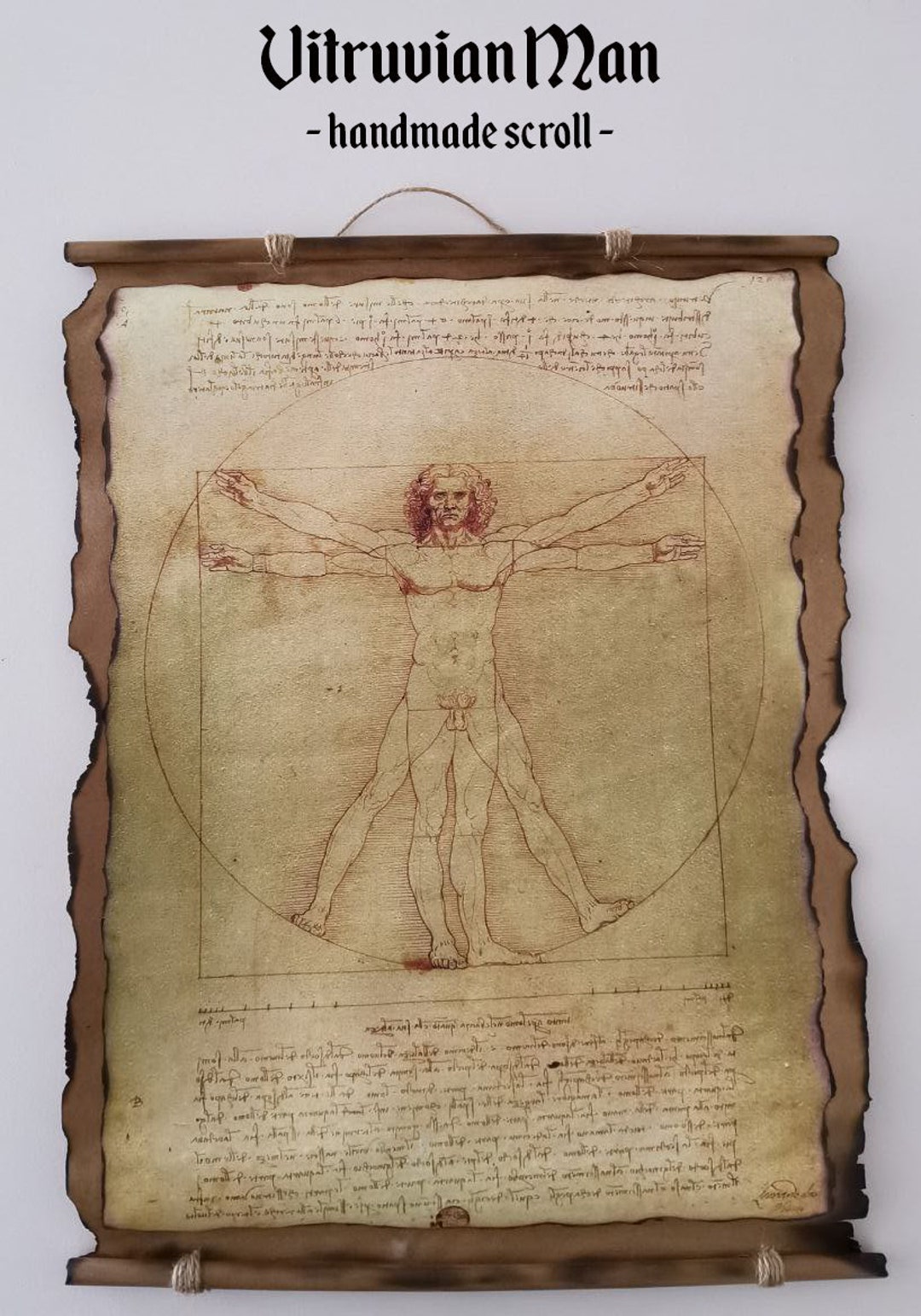 Vitruvian Man Handmade Scrolls by Leonardo Da Vinci. Wall Home Decor