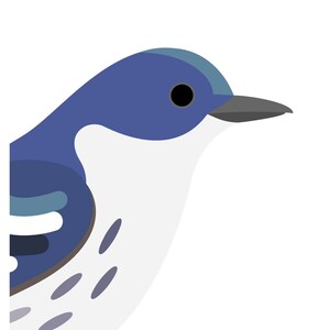 Cerulean Warbler - Vivid Series - Fine Art Bird Print