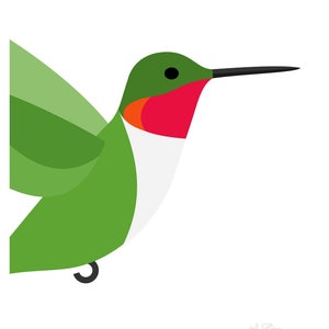 May include: A green hummingbird with a red throat and a long, black beak. The hummingbird is in flight with its wings spread out.