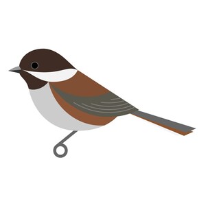 Chestnut-backed Chickadee - Fine Art Bird Print
