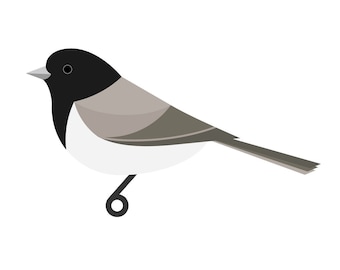 Dark-eyed Junco - Fine Art Print