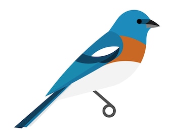 Lazuli Bunting - Fine Art Bird Print