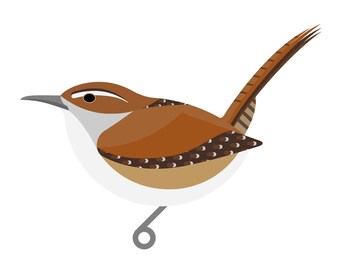 Marsh Wren - Fine Art Bird Print