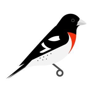 Rose-breasted Grosbeak - Fine Art Bird Print