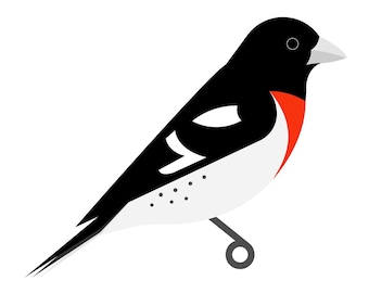 Rose-breasted Grosbeak - Fine Art Bird Print