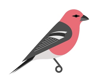 Pine Grosbeak - Fine Art Bird Print
