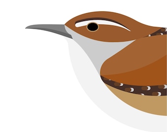 Marsh Wren - Vivid Series - Fine Art Bird Print