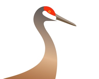 Sandhill Crane - Vivid Series - Fine Art Bird Print