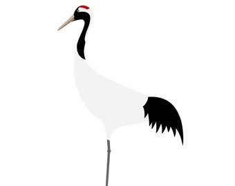 Red-crowned Crane - Fine Art Bird Print