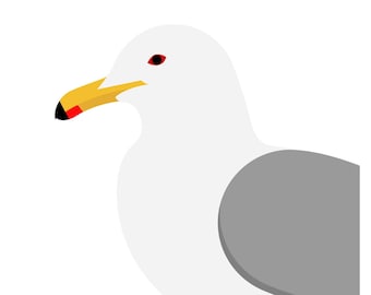 California Gull - Vivid Series - Fine Art Bird Print