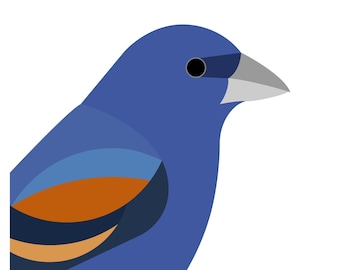 Blue Grosbeak - Vivid Series - Fine Art Bird Print