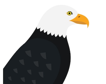 Bald Eagle - Vivid Series - Fine Art Bird Print