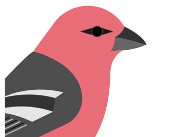 Pine Grosbeak - Vivid Series - Fine Art Bird Print