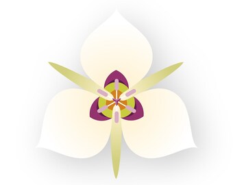 Sego Lily - Fine Art Print