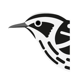 Black and White Warbler - Vivid Series - Fine Art Bird Print