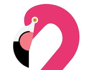 American Flamingo - Vivid Series - Fine Art Print