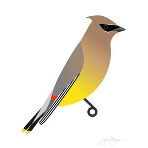 Cedar Waxwing - Fine Art Bird Print