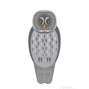 Great Gray Owl - Fine Art Bird Print