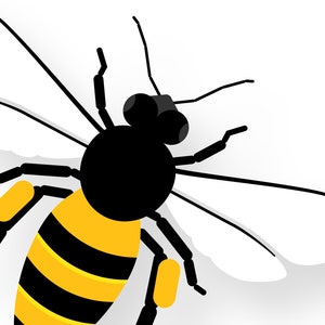 Honey Bee - Vivid Series - Fine Art Print