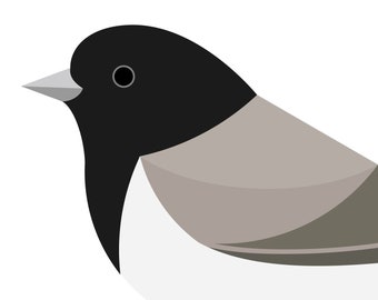 Dark-eyed Junco - Vivid Series - Fine Art Print