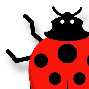 Lady Bug - Vivid Series - Fine Art Print